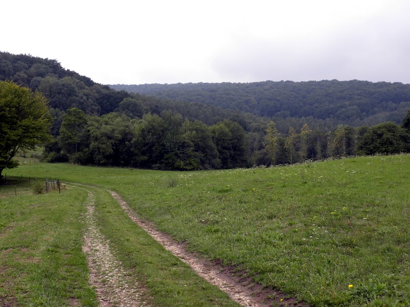 Een wandelpad door de groene Argonnevallei bij Châtel-Chéhéry